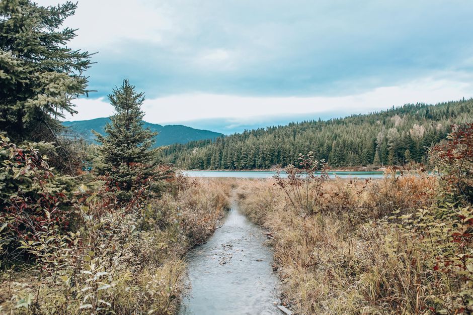 Peaceful forest trail leading to a tranquil lake surrounded by lush greenery and mountains.